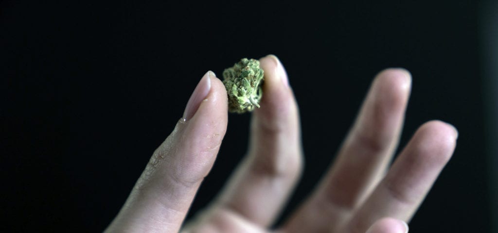 A woman holds up a small, green nug of cannabis between two fingers.
