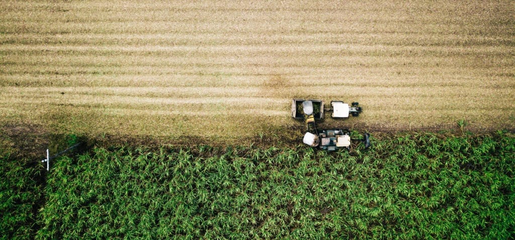 Crop Harvest