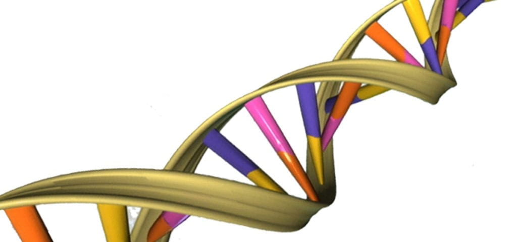 DNA Helix