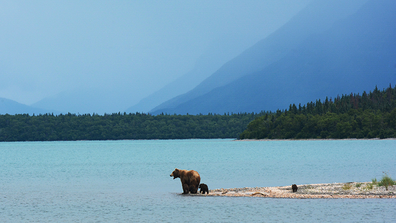 Alaska state cannabis legality