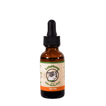 CBD Oil for Dogs