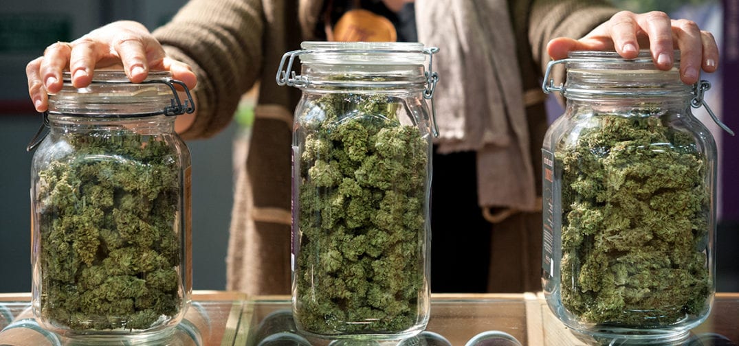 Oregon Cannabis Sales in 2019 Exceed 700M