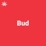 Bud