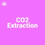 CO2 Extraction