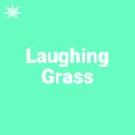 Laughing Grass