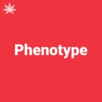 Phenotype