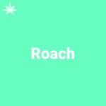 Roach