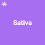 Sativa