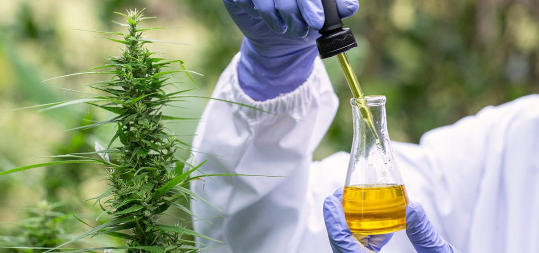 Revolutionizing Medical Cannabis Production: A Breakthrough in Analytical Technology