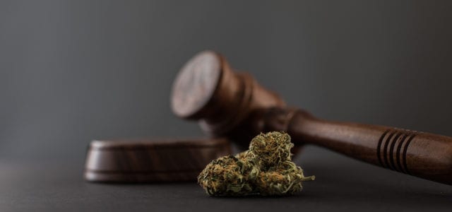 Lawsuit: Federal Seizure of State-Legal Cannabis Products in New Mexico Violates Fifth Amendment