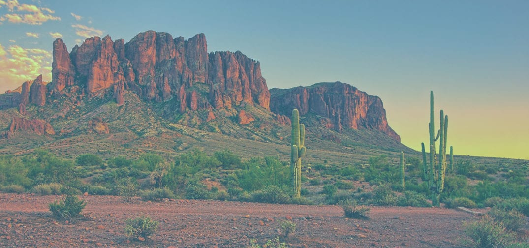 photo of Arizona Cannabis Sales Total $1.43B in 2023 image