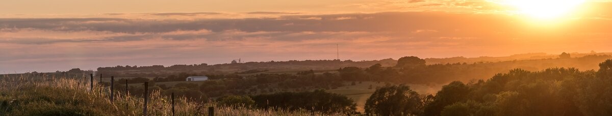 					Nebraska Cannabis News