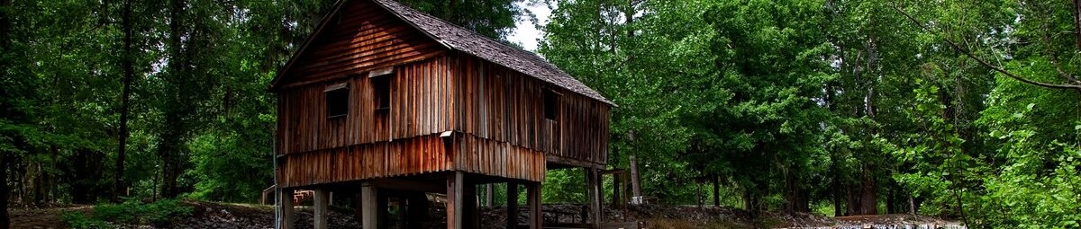 Alabama Cannabis News