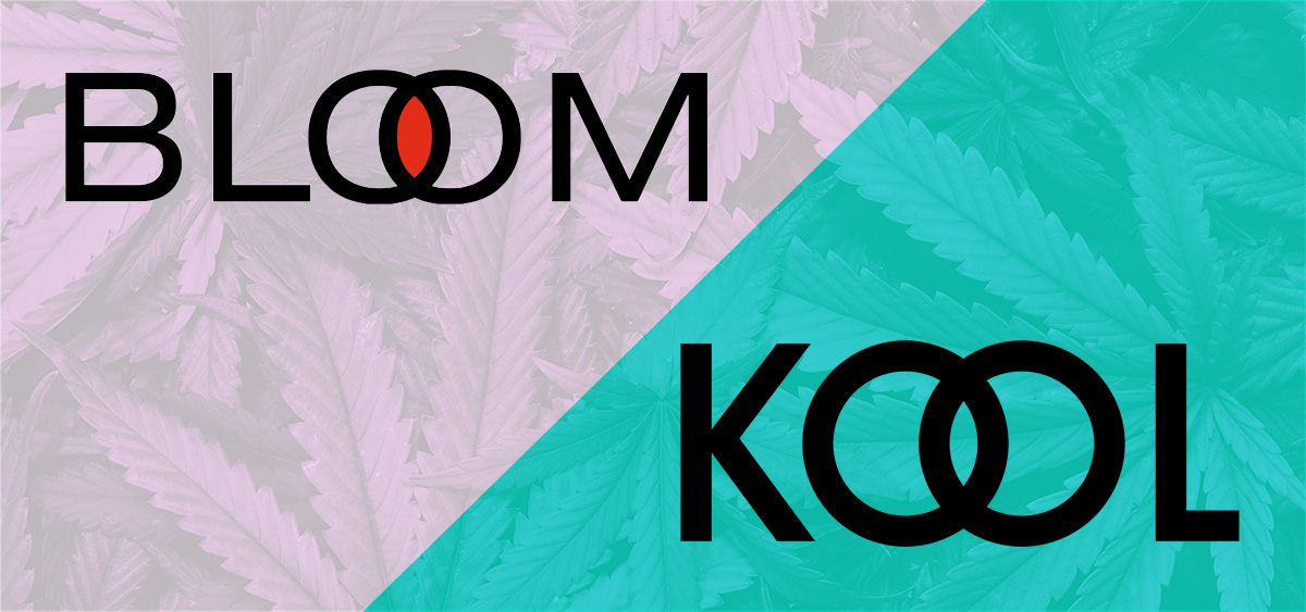 Bloom & Kool logo comparison