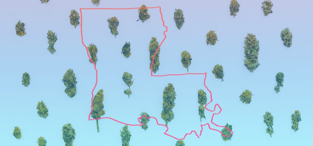 louisiana state outline over cannabis