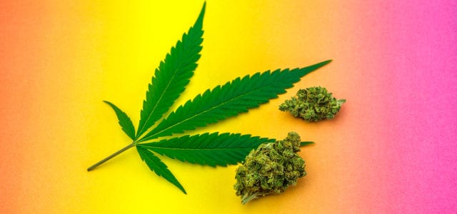 Texas Lawmakers Pass Bill to Expand Medical Cannabis Program