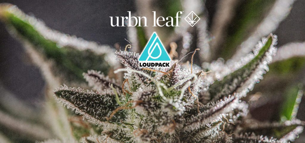 Deals & Specials - URBN Leaf