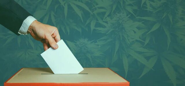 Arkansas Medical Cannabis Initiative Has Signatures to Qualify for November Ballot