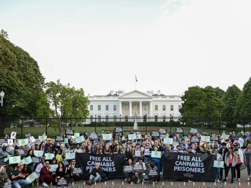 420 Day of Action in front of the White House April 18, 2024. Photo Credit: Ben Droz, Last Prisoner Project