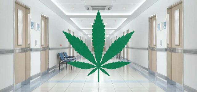 Study: Legal Medical Cannabis Could Save U.S. Healthcare System $29B Per Year