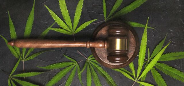 U.S. Court of Appeals Rejects Legal Challenge Claiming Cannabis Prohibition is Unconstitutional