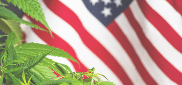 The 2024 Election and Cannabis Legalization: A Critical Turning Point
