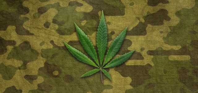 U.S. Army Bans Use of Hemp-Derived Delta-8 THCĀ Products