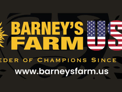 Barneys Farm Logo